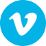 www.videodownloader.software